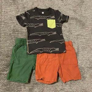 Tea Collection 3T shirt and 2 pairs shorts